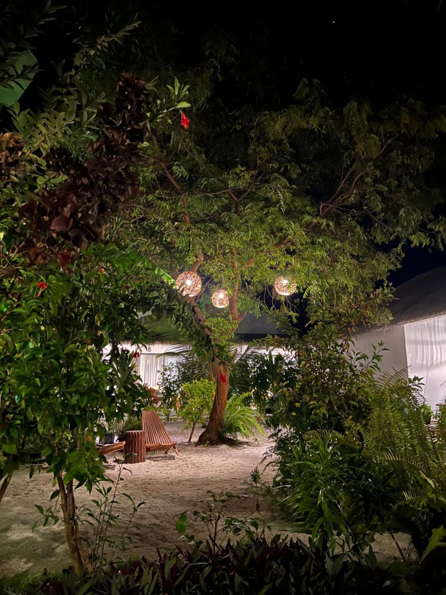 Coco Villa Thoddoo Luaran gambar