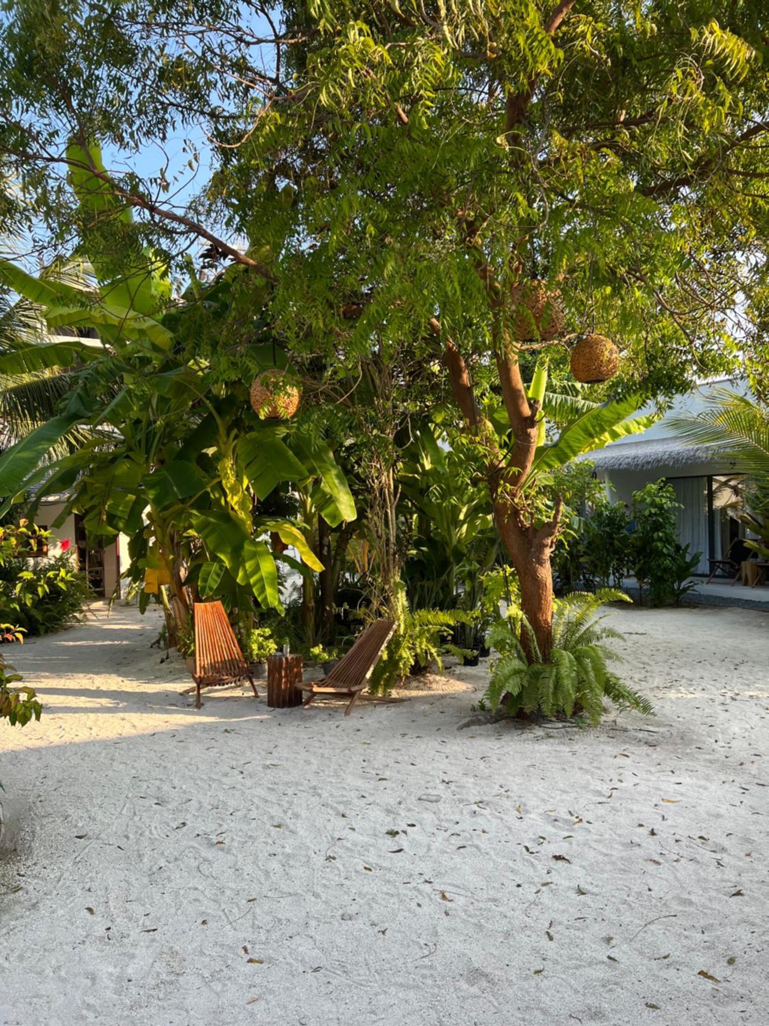 Coco Villa Thoddoo Luaran gambar