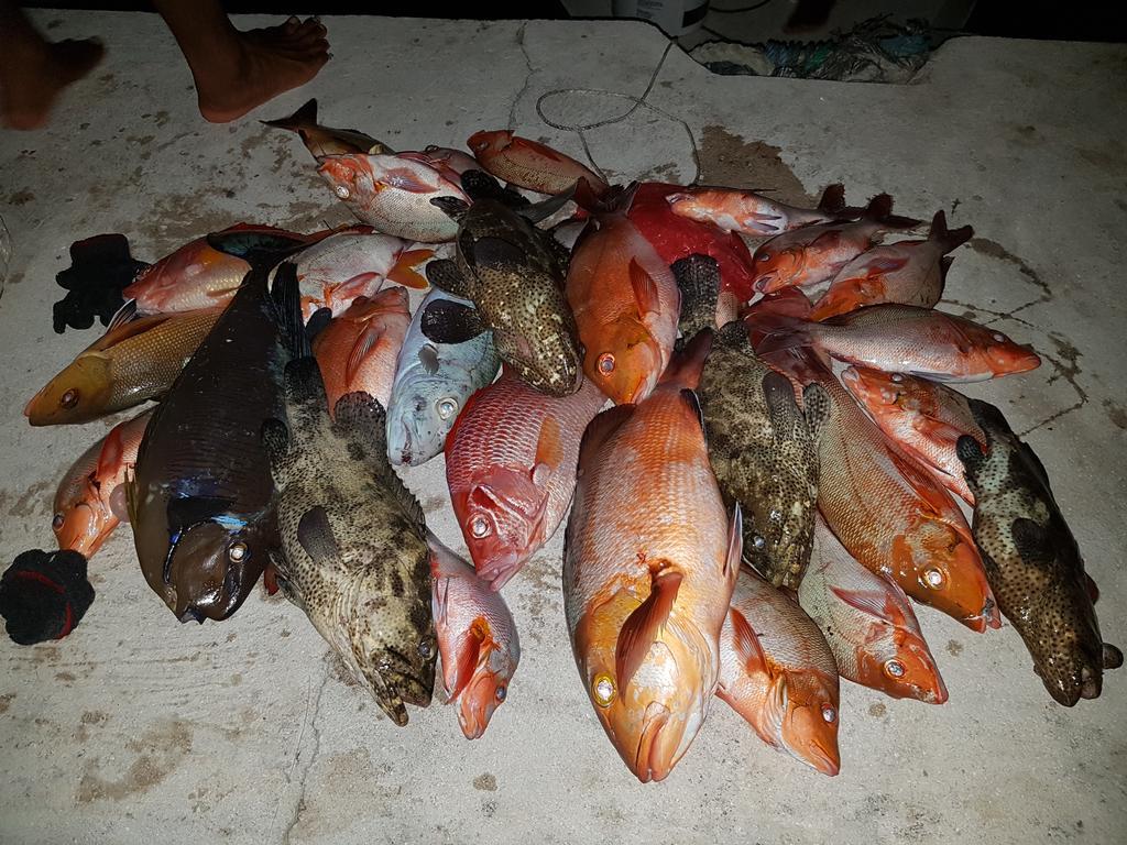 Coco Villa Thoddoo Luaran gambar