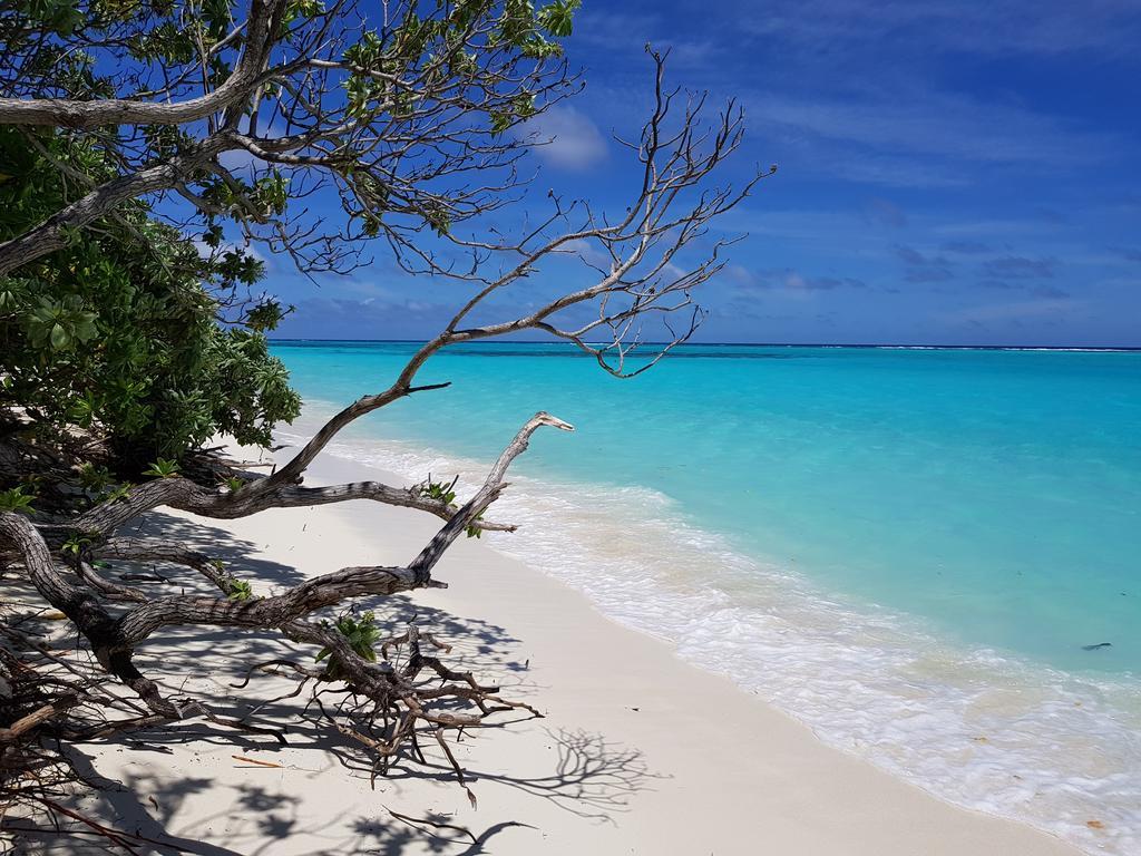 Coco Villa Thoddoo Luaran gambar